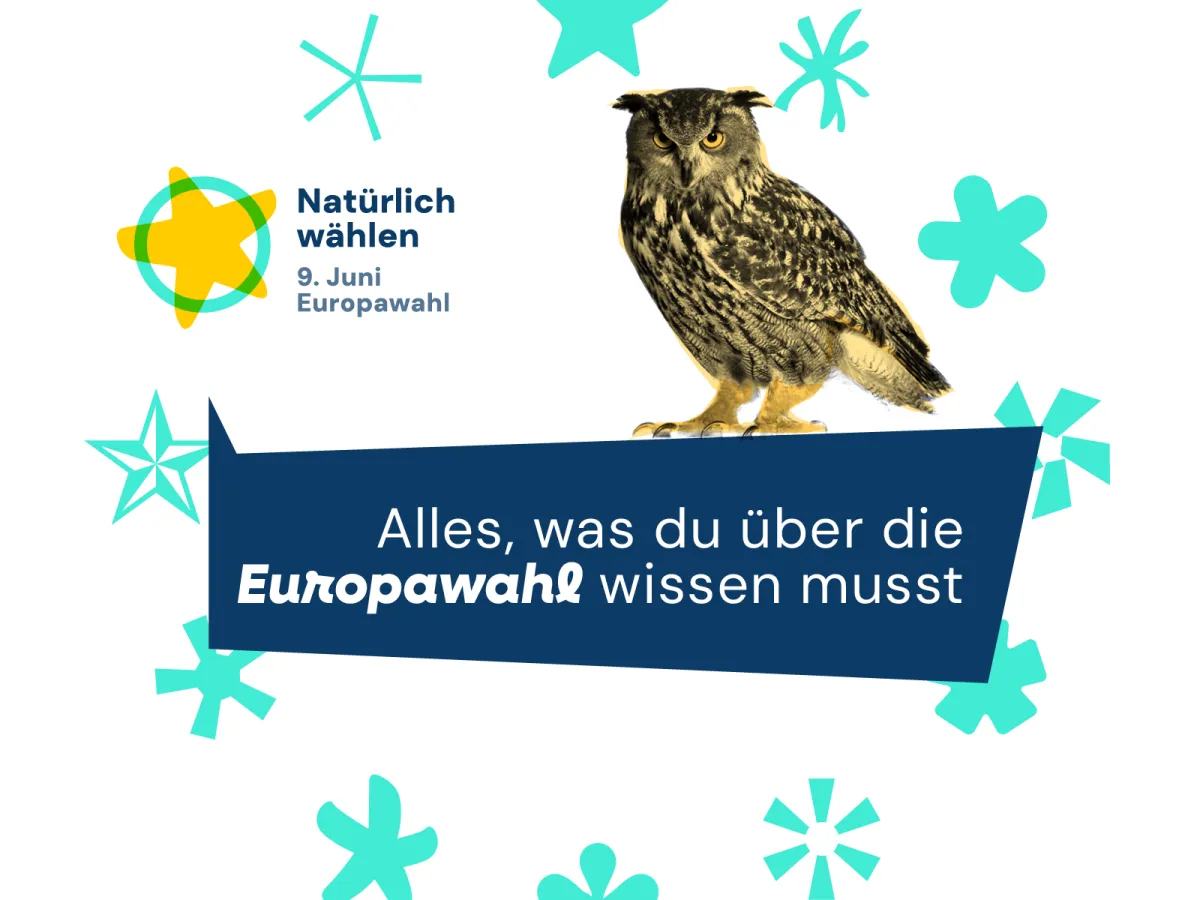 Das Bild zeigt den Link zur Kampagnewebseite und eine Schneeeule. 